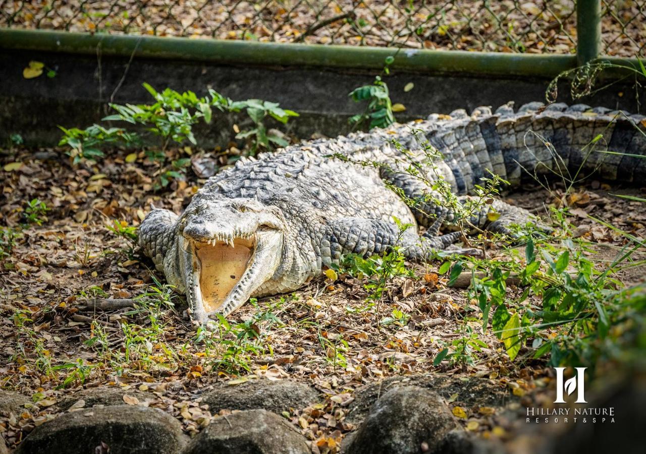 Hillary Nature Resort & Spa All Inclusive Arenillas Ngoại thất bức ảnh